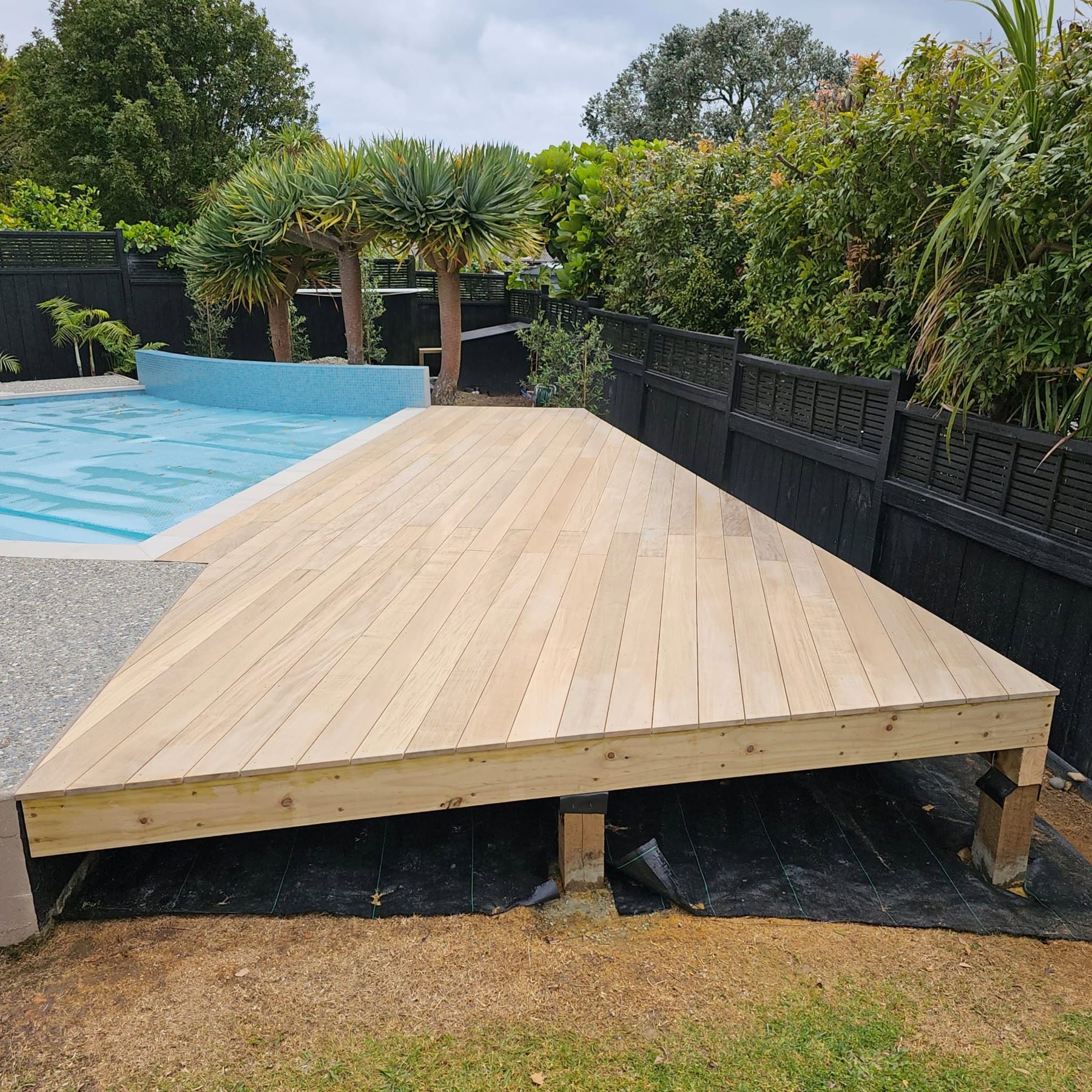 Pale timber decking beside a pool